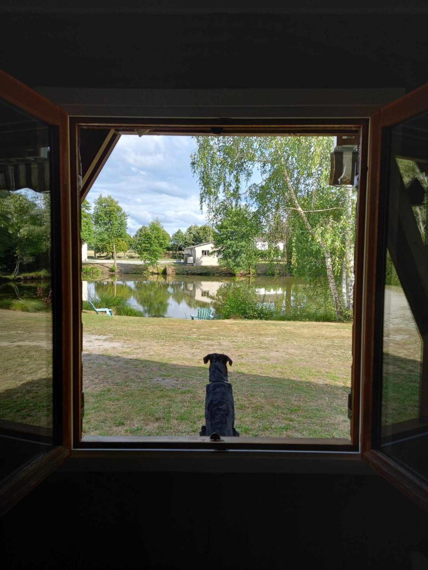 Le Chalet Limousin Folles 외부 사진