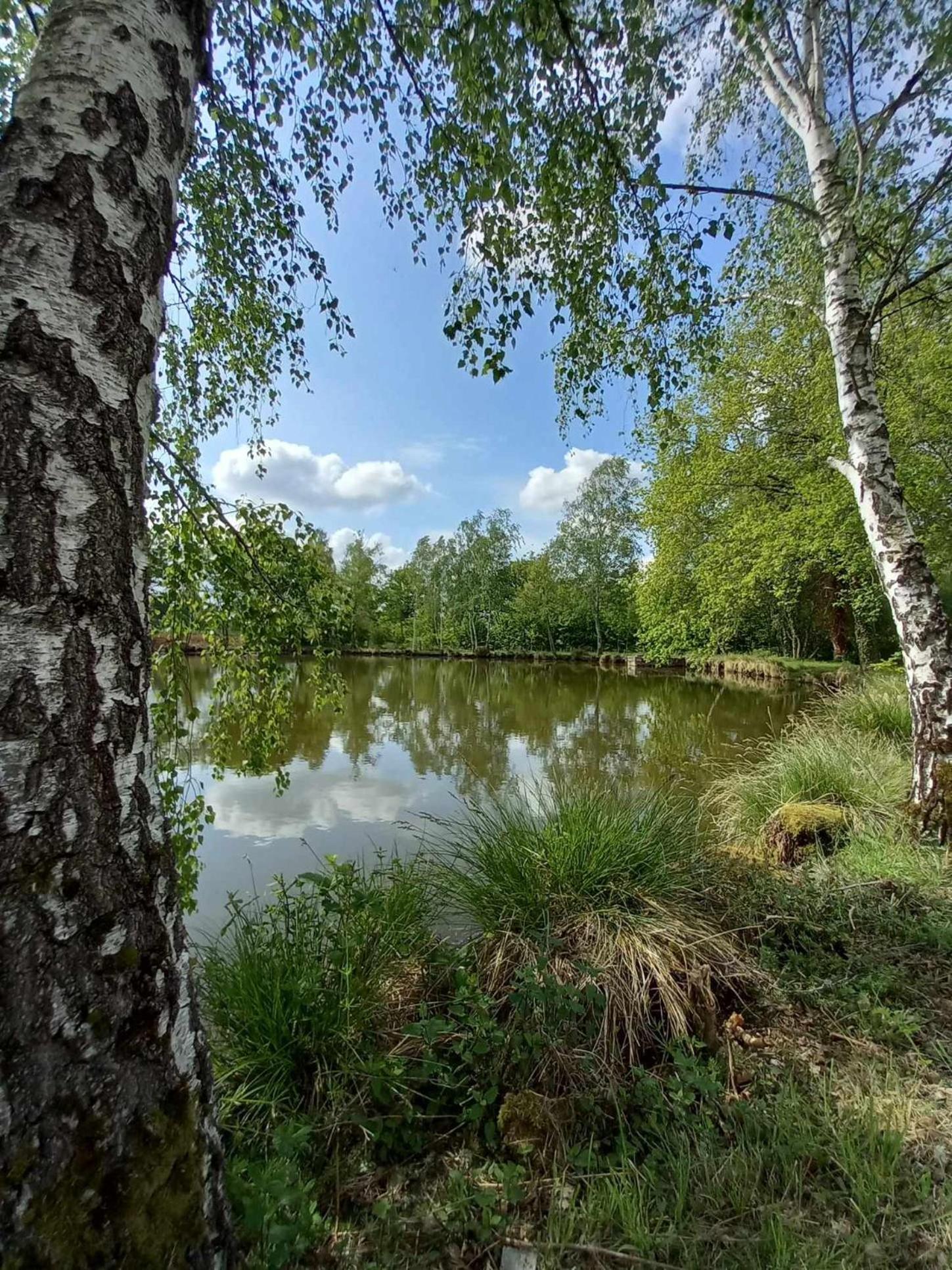 Le Chalet Limousin Folles 외부 사진